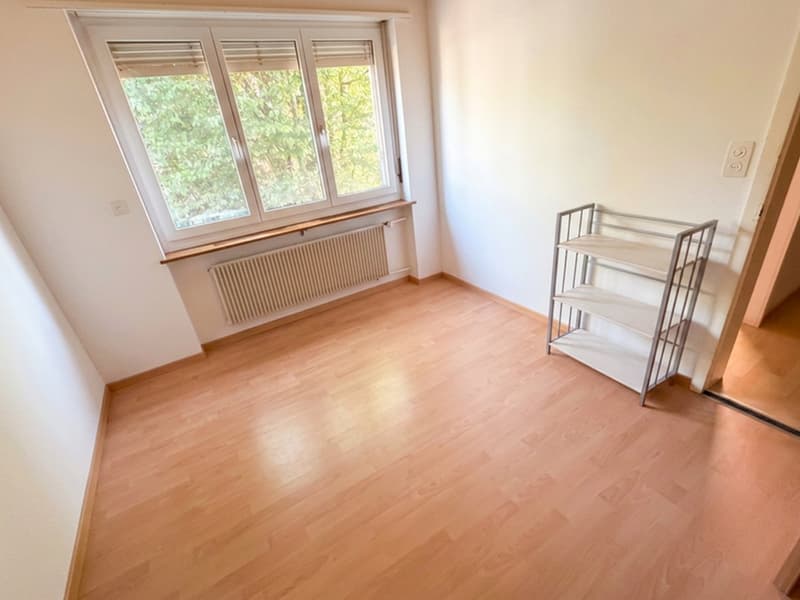Grosszügige 5.5-Zimmer-Gartenwohnung mit Wintergarten, Cheminée und Parkplatz (10)