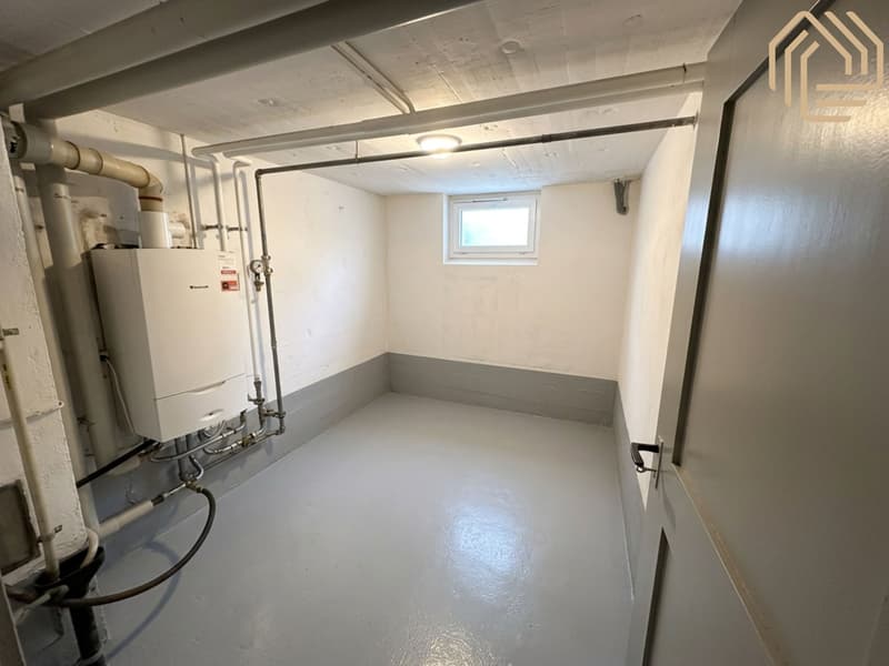 Grosszügige 5.5-Zimmer-Gartenwohnung mit Wintergarten, Cheminée und Parkplatz (11)