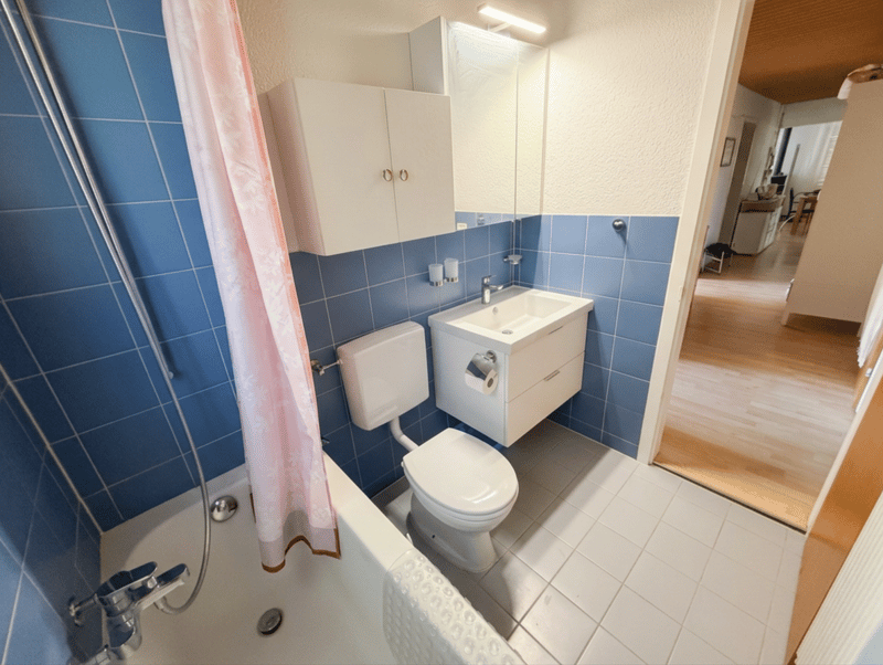 Grosszügige 5.5-Zimmer-Gartenwohnung mit Wintergarten, Cheminée und Parkplatz (8)