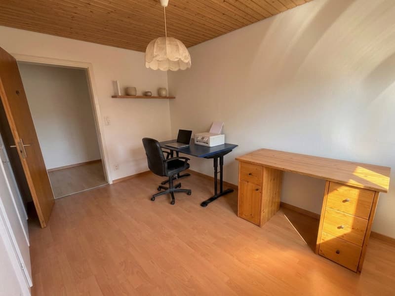 Grosszügige 5.5-Zimmer-Gartenwohnung mit Wintergarten, Cheminée und Parkplatz (9)
