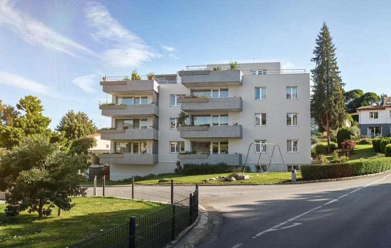 Vaste appartement en attique 4,5 pièces (7)