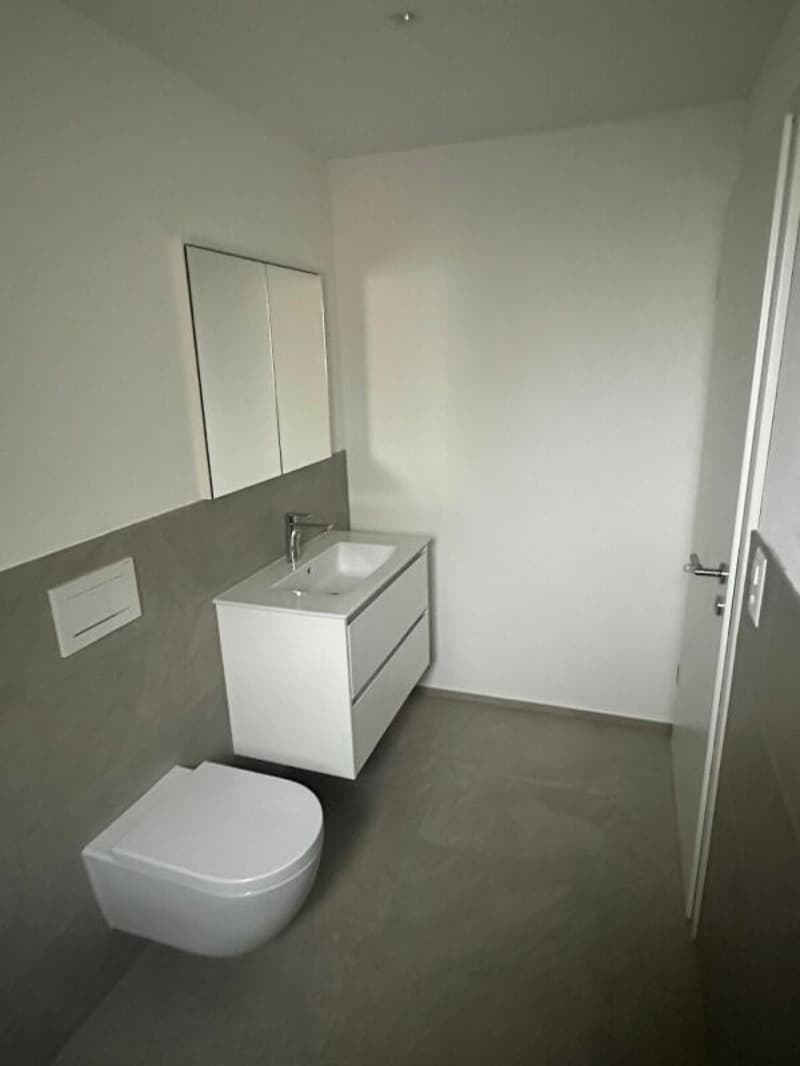 2.5 Zi. Wohnung im 1.OG mit grossem Balkon (3)