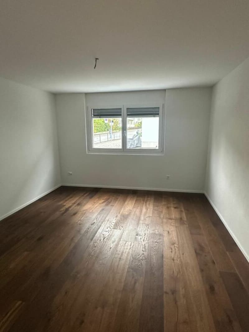 2.5 Zi. Wohnung im 1.OG mit grossem Balkon (5)