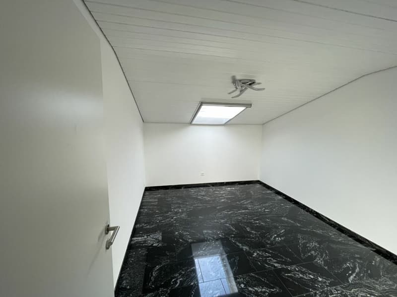 SONNIGE 4.5-ZIMMER-DACHWOHNUNG MIT BLICK INS GRÜNE UND HOCHWERTIGER AUSSTATTUNG (5)