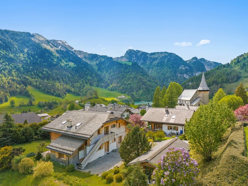 An exceptional chalet in the heart of the Vaud Alps (3)