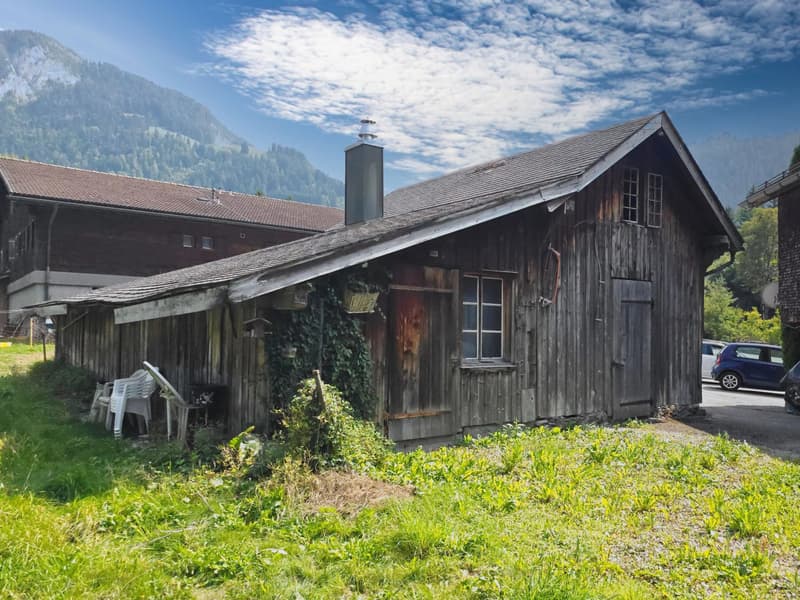 Maison villageoise avec jardin, dépendance et local commercial (5)