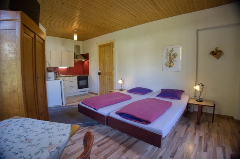 Old Character Hotel with Buildable Land ? Great Potential for Enhancement (10)