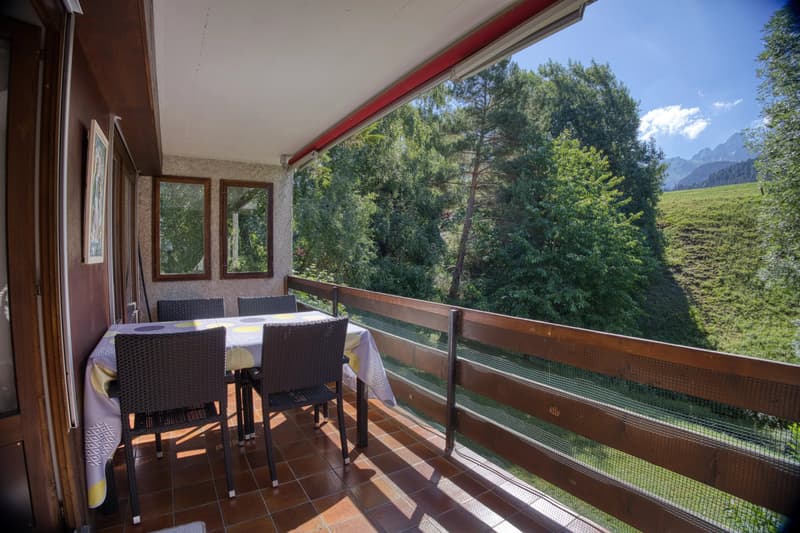 Sunny 4.5-room apartment in a quiet neighborhood (9)