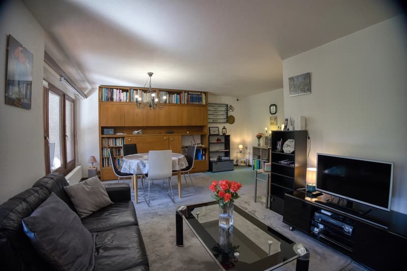 Sunny 4.5-room apartment in a quiet neighborhood (4)