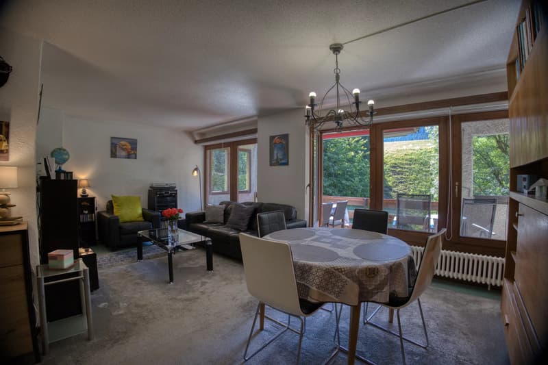 Sunny 4.5-room apartment in a quiet neighborhood (2)