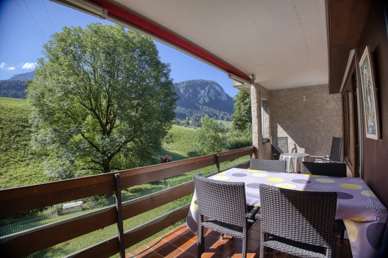 Sunny 4.5-room apartment in a quiet neighborhood (8)