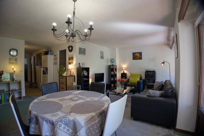 Sunny 4.5-room apartment in a quiet neighborhood (3)