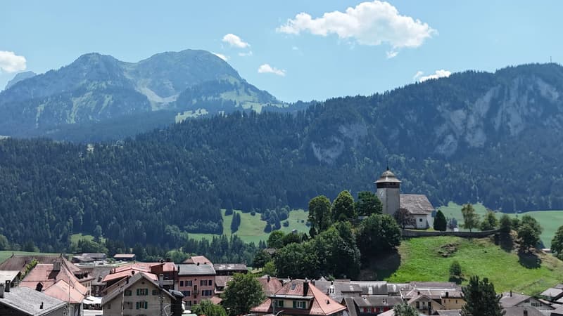 Un chaleureux 3 pièces sous les toits au coeur de Château-d'Oex (10)