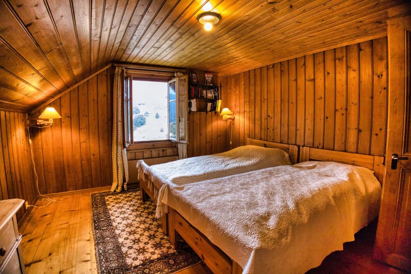 Grand appartement familial avec vue imprenable au centre de Château-d'Oex (11)