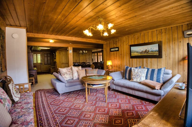 Grand appartement familial avec vue imprenable au centre de Château-d'Oex (2)