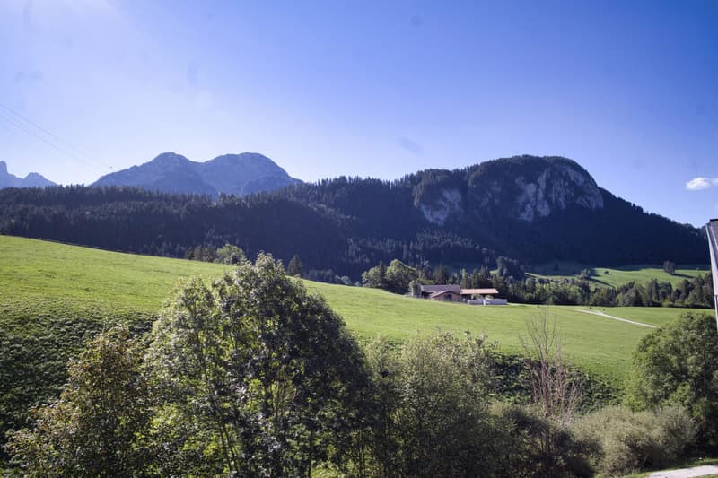 Charmant 3 pièces lumineux avec balcon et vue dégagée ? Château-d'Oex (9)