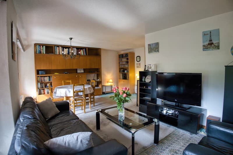 Sunny 4.5-room flat close to local amenities (3)