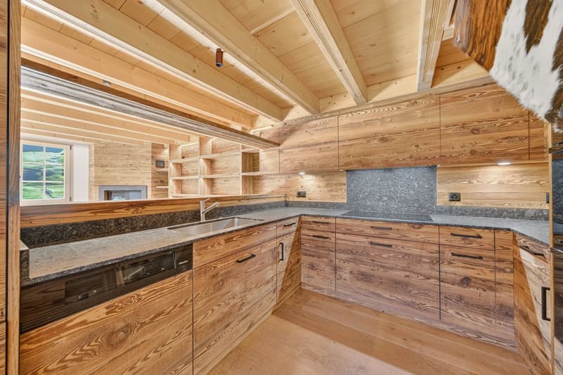 Luxury duplex (4)