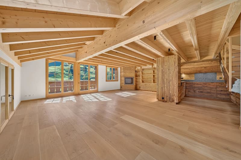 Luxury duplex (3)