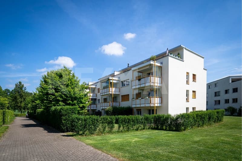 Ihr Traumzuhause in Rütihof, Baden wartet! (13)