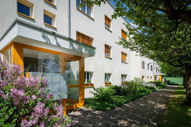 Ihr Traumzuhause in Rütihof, Baden wartet! (1)
