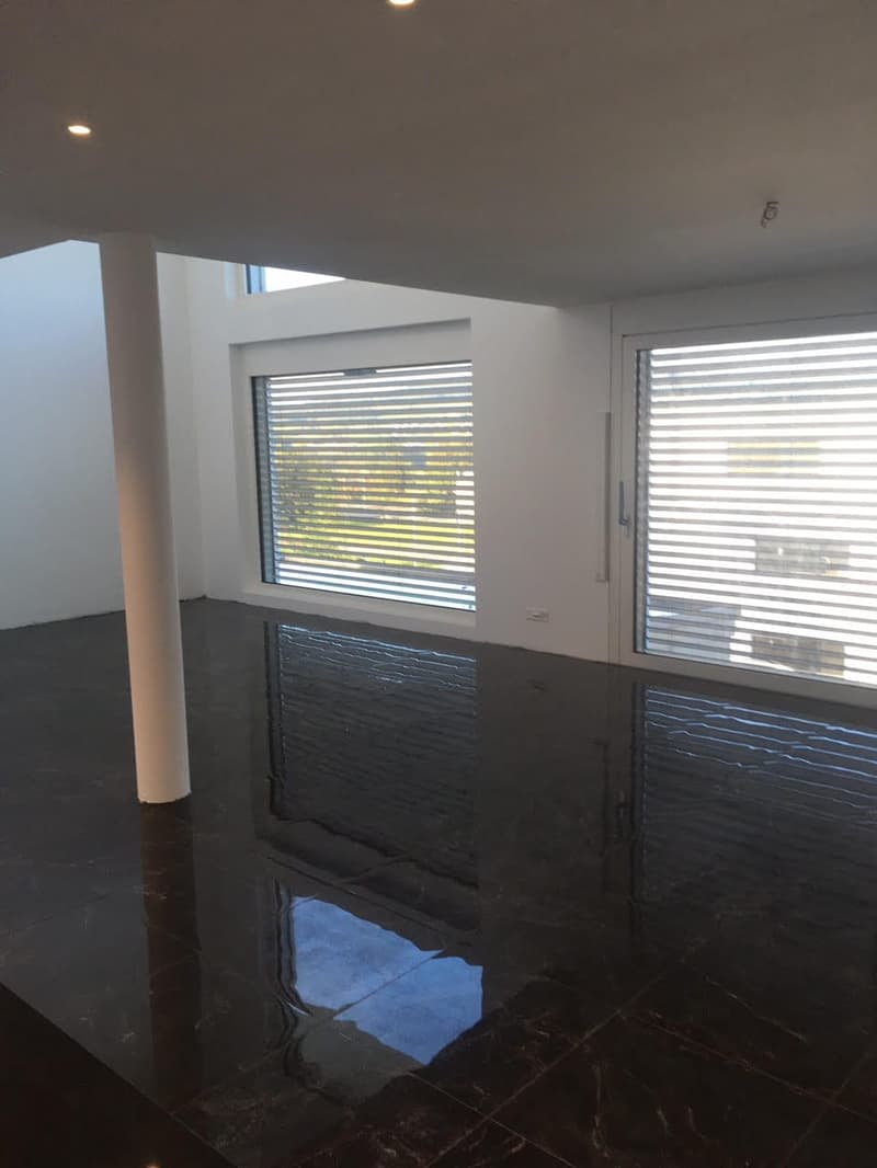5.5-room single-family house with lake view and roof terrace in Boniswil for sale (5)
