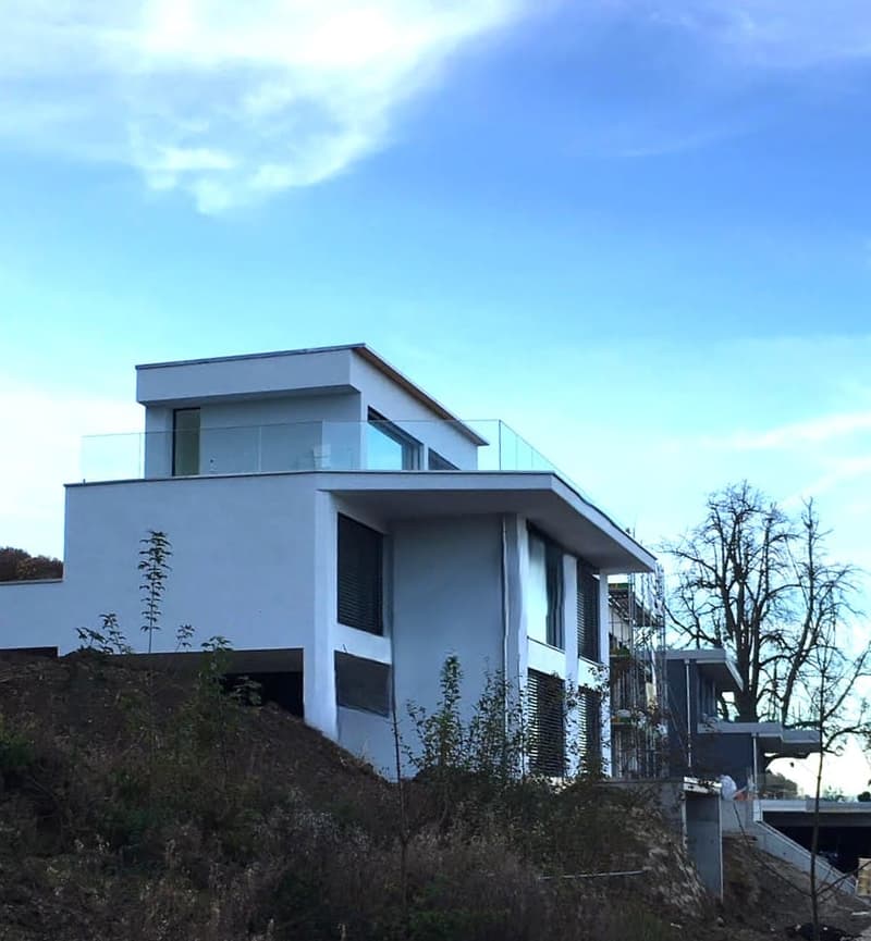 5.5-room single-family house with lake view and roof terrace in Boniswil for sale (3)