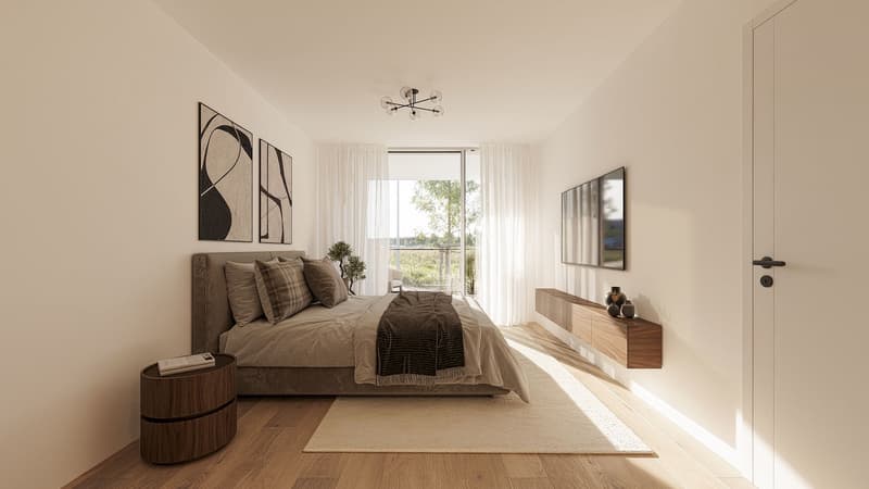 Attico 3,5 locali con grande terrazza in affitto a Killwangen (8)
