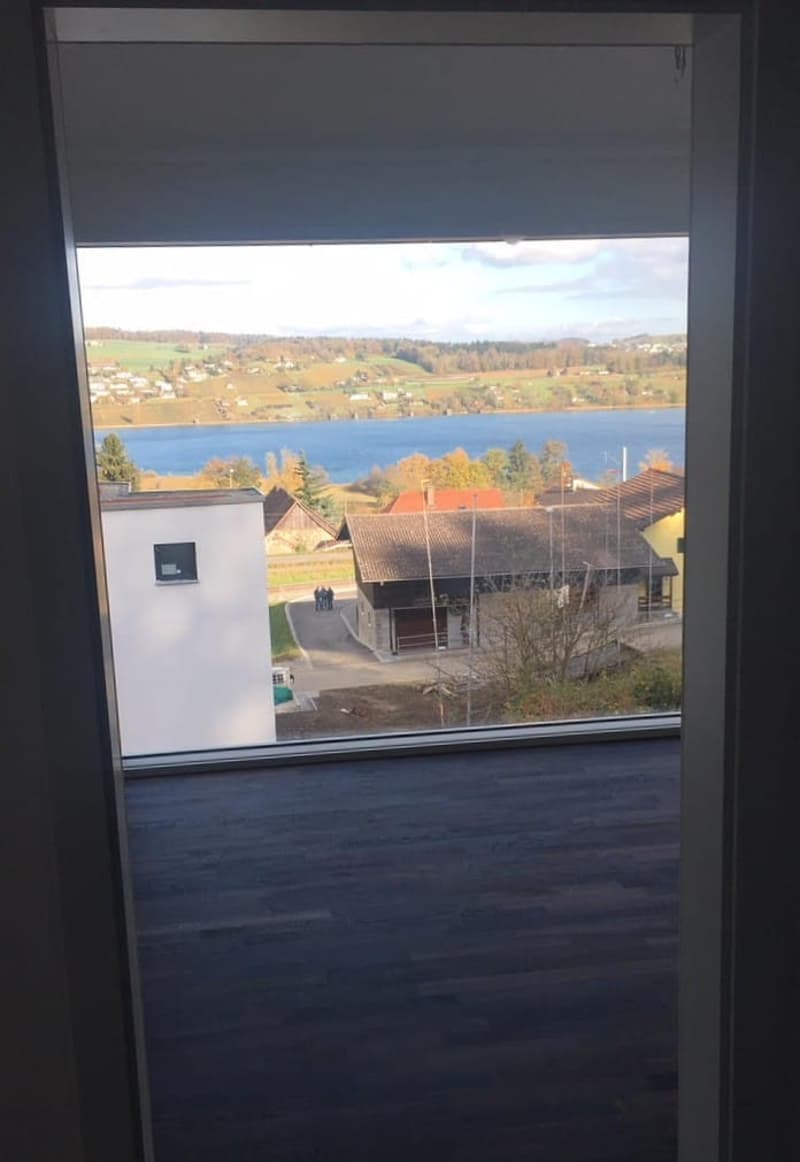 5.5-Zimmer EFH mit Seesicht und Dachterrasse in Boniswil kaufen (7)