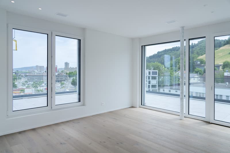 3½-Zimmer Attika mit 49.5 m² Terrasse in Killwangen mieten (13)