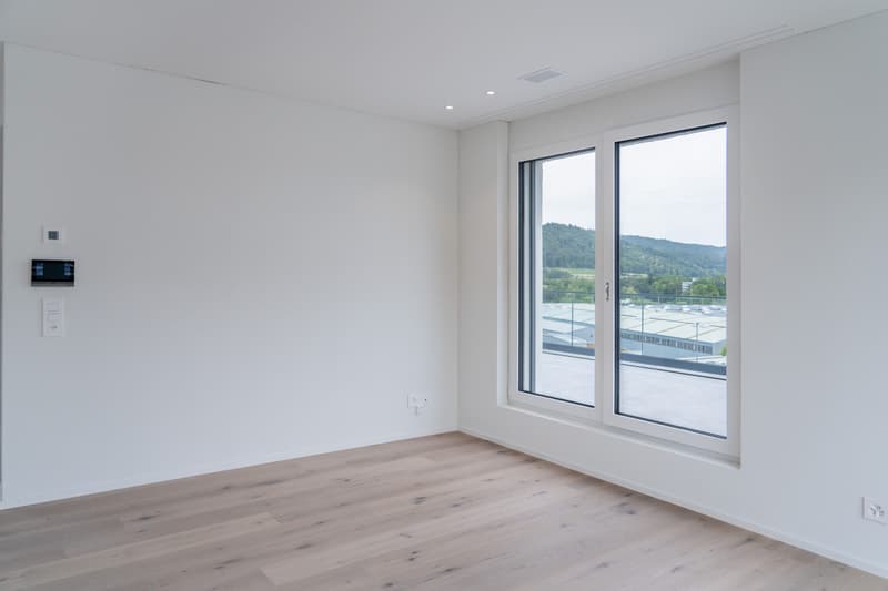 3½-Zimmer Attika mit 49.5 m² Terrasse in Killwangen mieten (7)