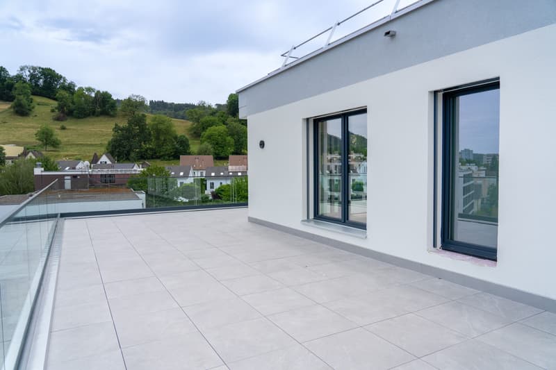 2.5-Zi.-Attika mit 78.5 m² Terrasse - urban wohnen, Killwangen (3)