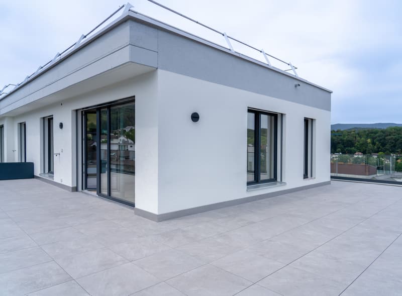 2.5-Zi.-Attika mit 78.5 m² Terrasse - urban wohnen, Killwangen (4)