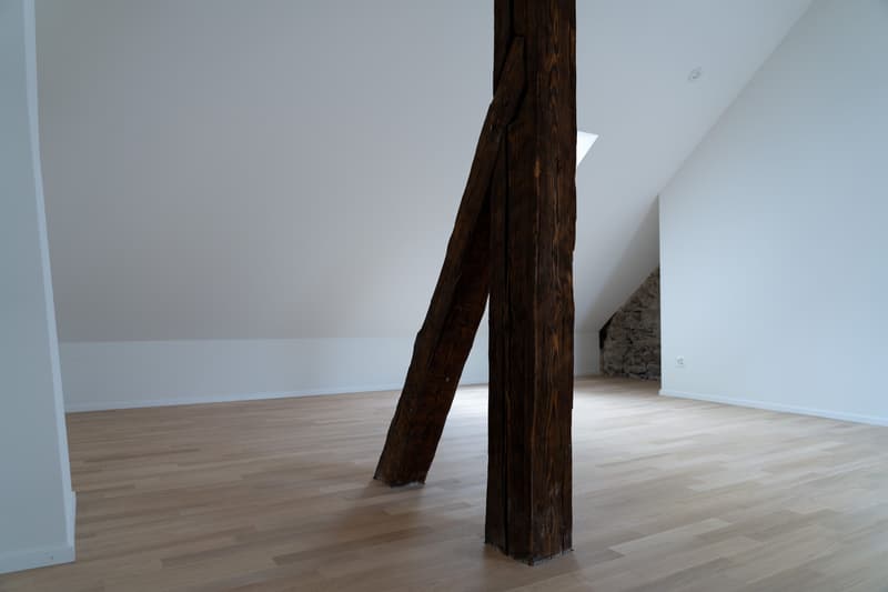Charmante, kernsanierte 4.5-Zimmer-Dachmaisonettewohnung (13)