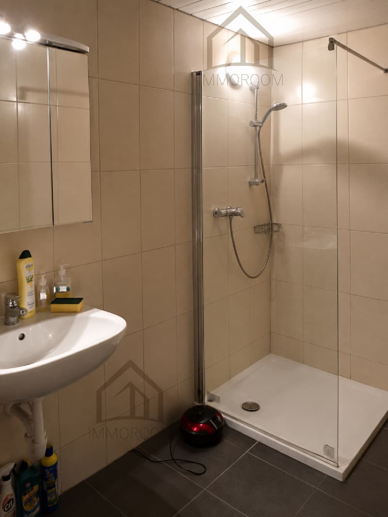 Mehrfamilienhaus Duplex mit Potenzial (9)