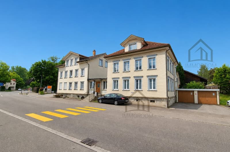 Mehrfamilienhaus Duplex mit Potenzial (1)