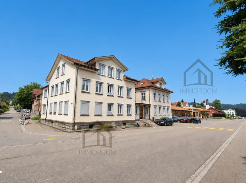 Mehrfamilienhaus Duplex mit Potenzial (2)