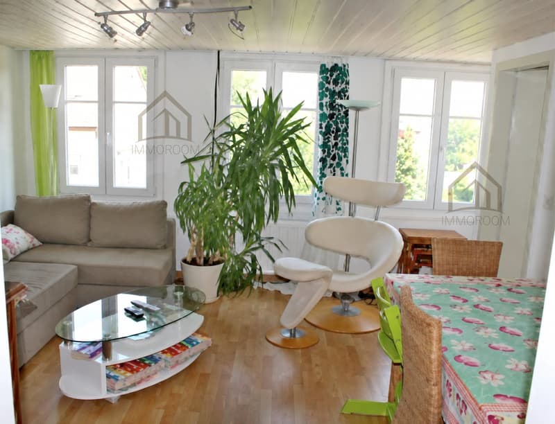 Mehrfamilienhaus Duplex mit Potenzial (5)