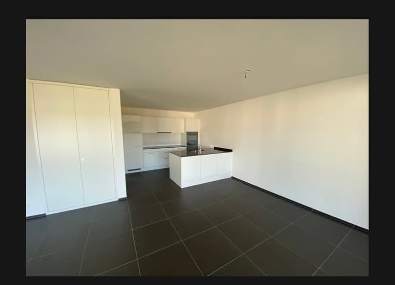 Moderne 2-Zimmer-Wohnung mit Balkon und herrlicher Aussicht in Eschlikon (4)