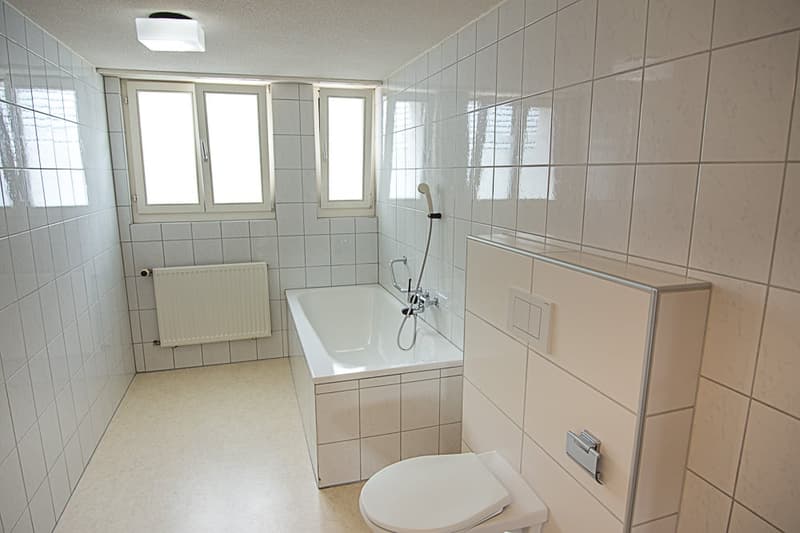 Charmante 3.5-Zimmer-Wohnung (8)