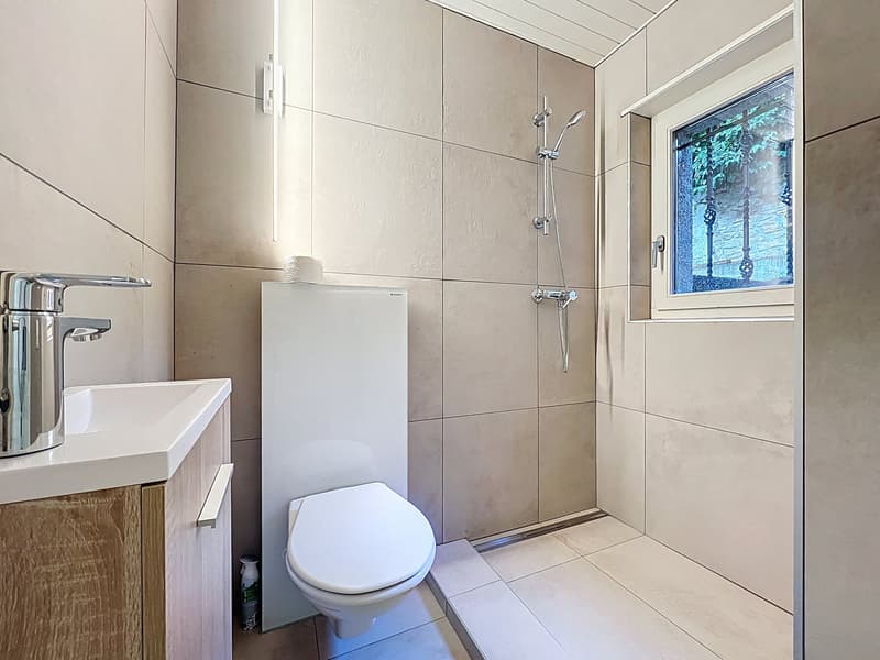 Coup de cœur garanti – villa rénovée avec terrasse et vue sur le lac ! (6)
