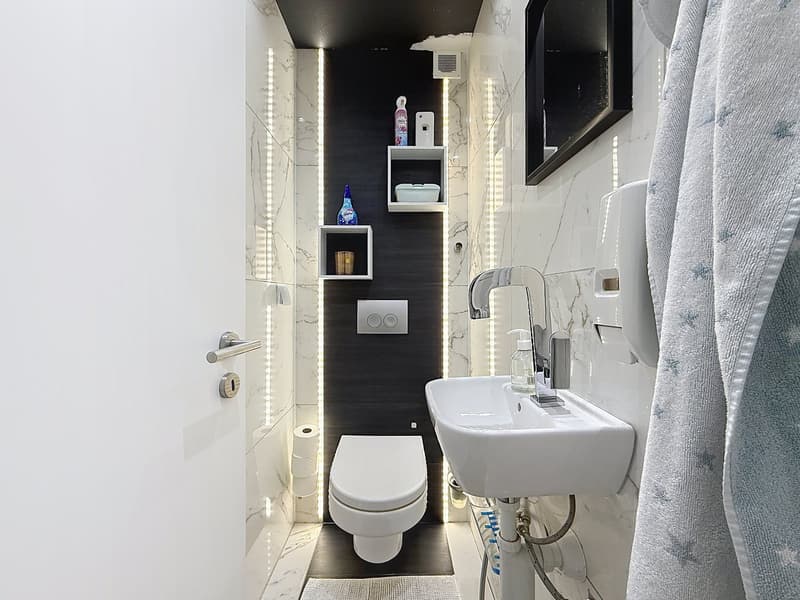 Spacieux appartement de 5.5 pièces contemporain avec veranda lumineuse (11)