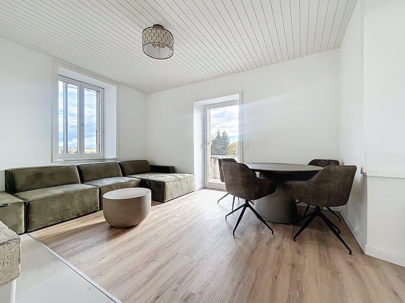 Coup de cœur garanti – villa rénovée avec terrasse et vue sur le lac ! (1)