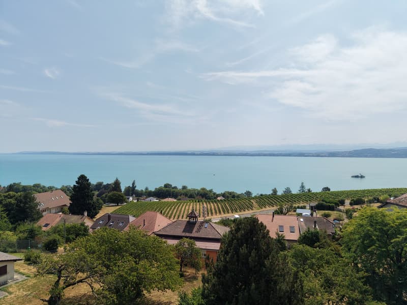Villa avec vue dégagée, volumes généreux et cadre calme – Vaumarcus (14)