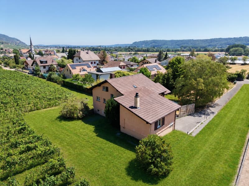 Propriété familiale en bordure de vignes avec permis de construire en force pour 2 villas (22)