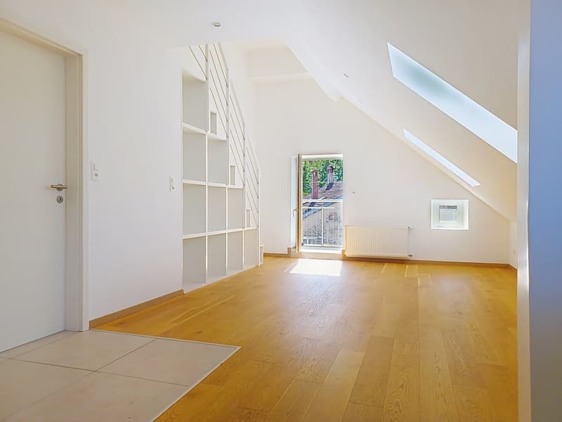 Immeuble mixte rénové en 2022 | 4 appartements + local commercial loué (4)