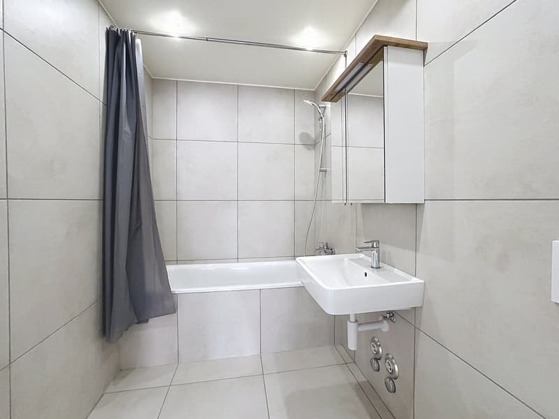 Immeuble entièrement rénové | 19,3 % de rendement sur fonds propre | 5 lots PPE (6)