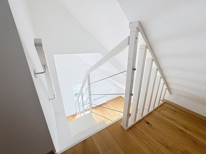 Immeuble entièrement rénové | 19,3 % de rendement sur fonds propre | 5 lots PPE (9)