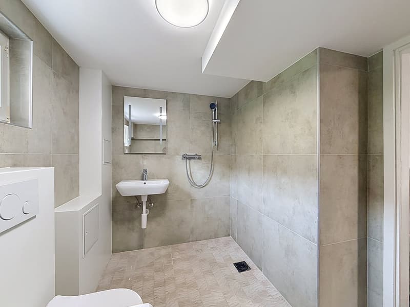 Villa familiale entièrement rénovée au bord des vignes (15)