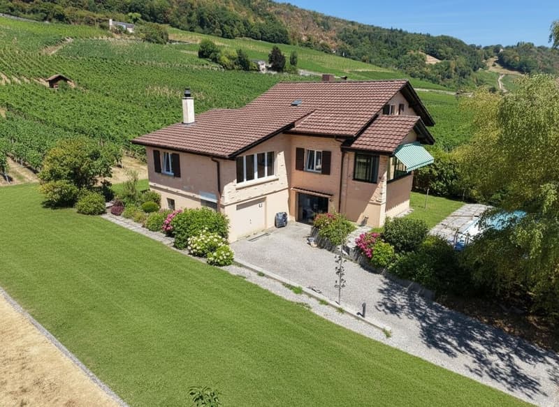Villa familiale entièrement rénovée au bord des vignes (1)